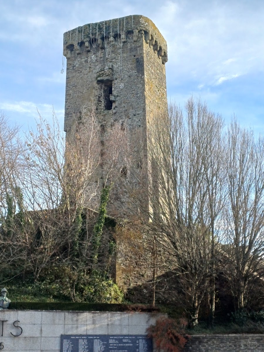 Chateau De La Haye-Du-Puits-4